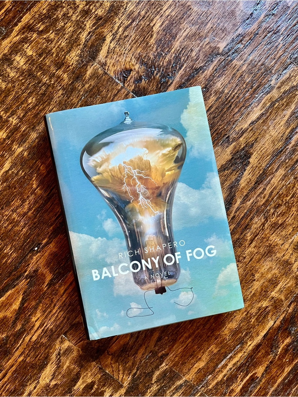Balcony of Fog by Rich Shapero, Adult Fantasy Science Fiction Dystopian Book
